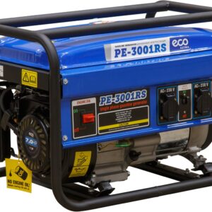 Бензиновый генератор ECO PE-3001RS цена