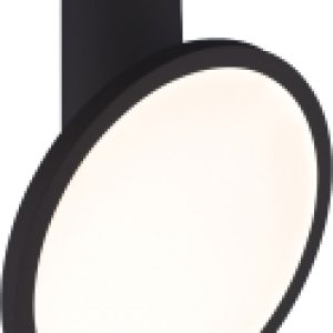 Купить Спот 21век