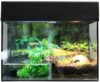 Террариум Lucky Reptile Стартовый комплект для амфибий SK50BP-B (черный) цена