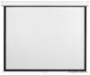 Проекционный экран Future Vision Wall 240x240 W240SMW цена