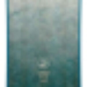 Сноуборд Elle 2023-24 21век