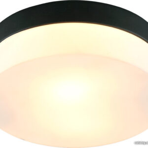 Светильник-тарелка Arte Lamp Aqua-Tablet A6047PL-2BK цена