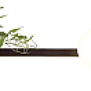 Бра Flower 4681/2W 21век
