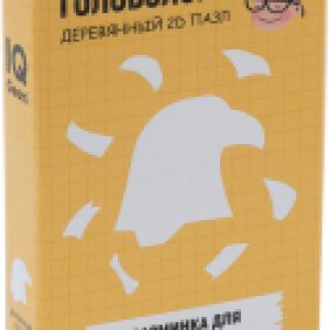 Игра-головоломка Орел / IQ4853 21век