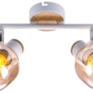 Купить Спот 21век