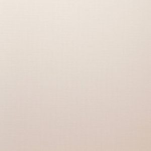 Купить Рулонная штора 21век