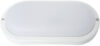 Светильник ЖКХ Барибал СПП-LED-3705-20Вт-4000К-IP65 / BAR-3705-4000 21век