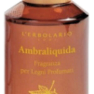 Купить Аромадиффузор 21век