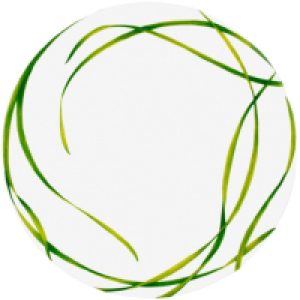 Купить Тарелка столовая обеденная 21век