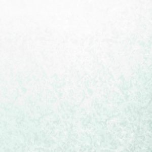 Рулонная штора Саванна LM 88-02 43x160 21век
