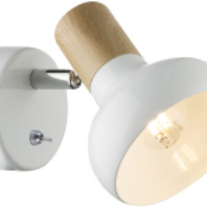 Купить Спот 21век