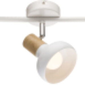 Купить Спот 21век