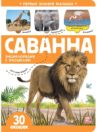 Развивающая книга Первые знания малыша. Саванна. С окошками 21век