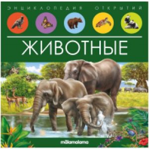 Купить Энциклопедия 21век