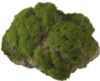 Декорация для аквариума Moss Stone / 234/430156 21век