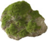 Декорация для аквариума Moss Stone / 234/430163 21век
