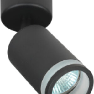 Купить Спот 21век