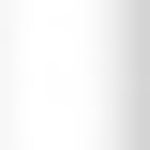 Купить Стилус 21век