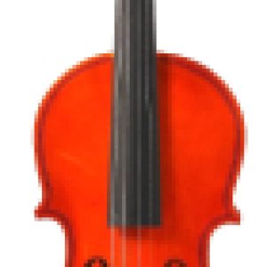 Купить Скрипка 21век