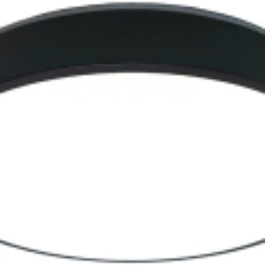 Потолочный светильник SL-41048/500-80W BK 21век