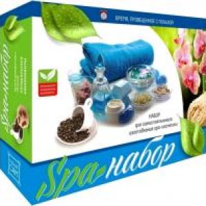 Набор для создания косметики Большой SPA-набор (C010) 21век