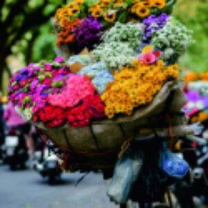 Купить Картина 21век