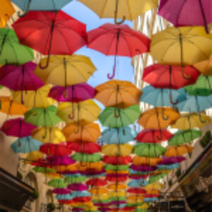 Купить Картина 21век