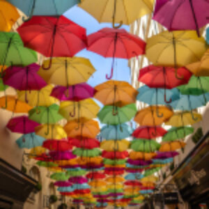 Купить Картина 21век