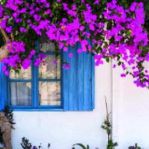 Купить Картина 21век