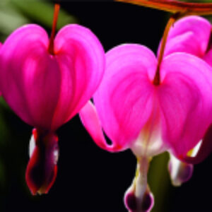 Купить Картина 21век