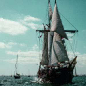 Купить Картина 21век