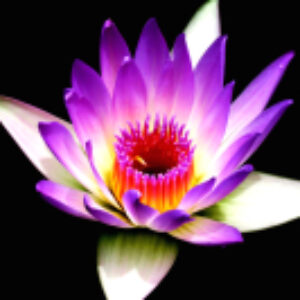 Купить Картина 21век