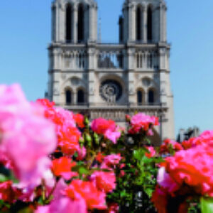 Купить Картина 21век