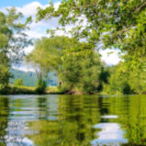 Купить Картина 21век