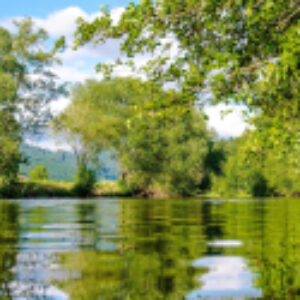 Купить Картина 21век