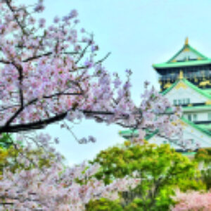 Купить Картина 21век