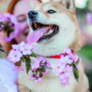 Купить Картина 21век