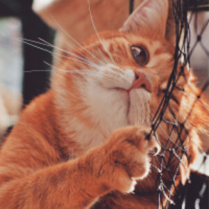 Купить Картина 21век