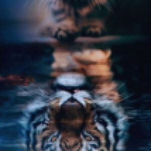 Купить Картина 21век