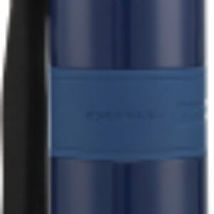 Термос для напитков Standart Blue / 5089 21век