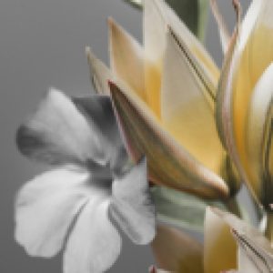 Картина на стекле WBR-01-1096-04 21век
