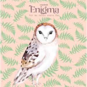 Тетрадь White enigma 96л А5 / Т5ск96_лм 11116 21век