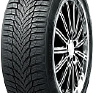 Купить Зимняя шина 21век