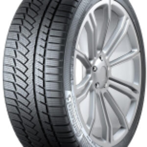 Купить Зимняя шина 21век