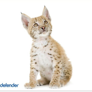 Купить Коврик для мыши Defender Silk (50706)