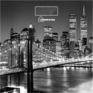 Купить Напольные весы HomeStar HS-6001E