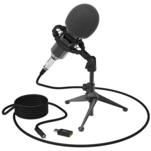 Купить Микрофон Ritmix RDM-160