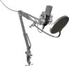 Купить Микрофон Ritmix RDM-169
