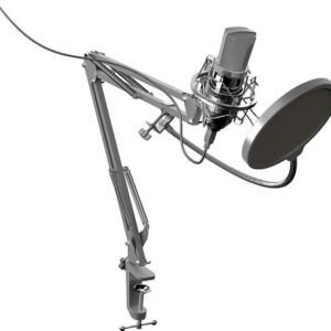Купить Микрофон Ritmix RDM-169