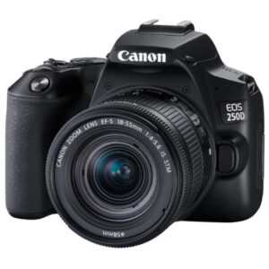 Купить Зеркальный фотоаппарат Canon EOS 250D Kit 18-55 IS STM (черный)